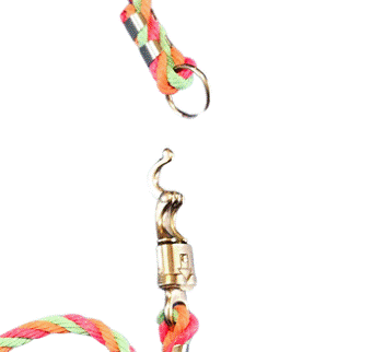 Horny Halter (Pink Orange Green) (As low as $30.00)