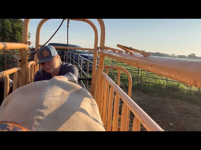 Load video: 